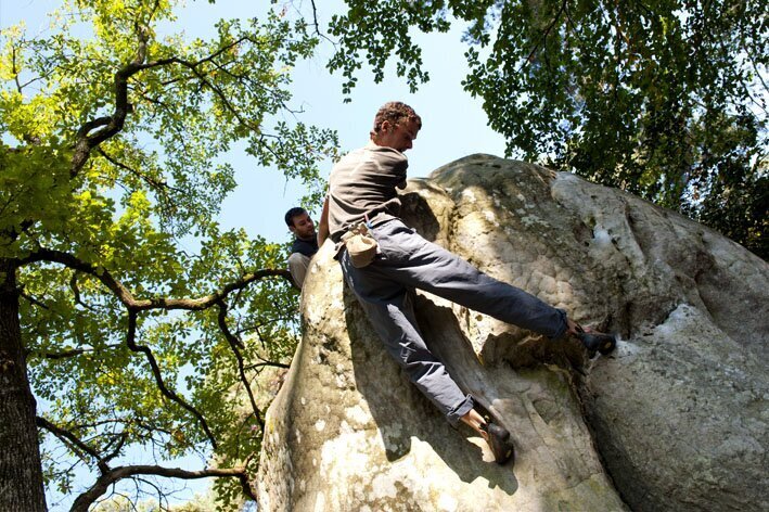 Visiter Fontainebleau - La forêt et ses rochers d'escalade