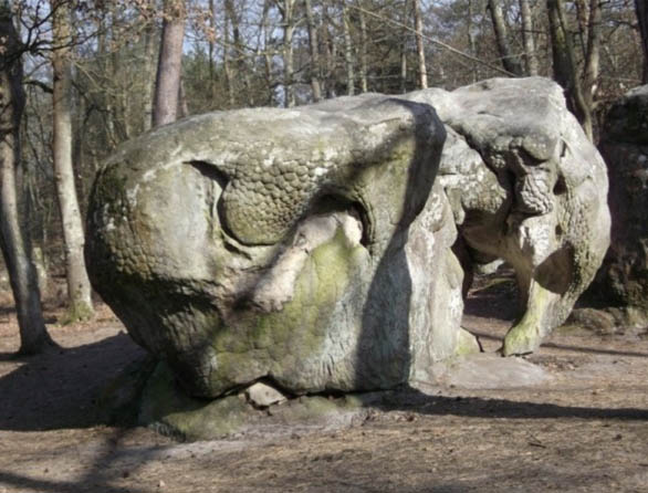 Rocher Elephant à Fontainebleau